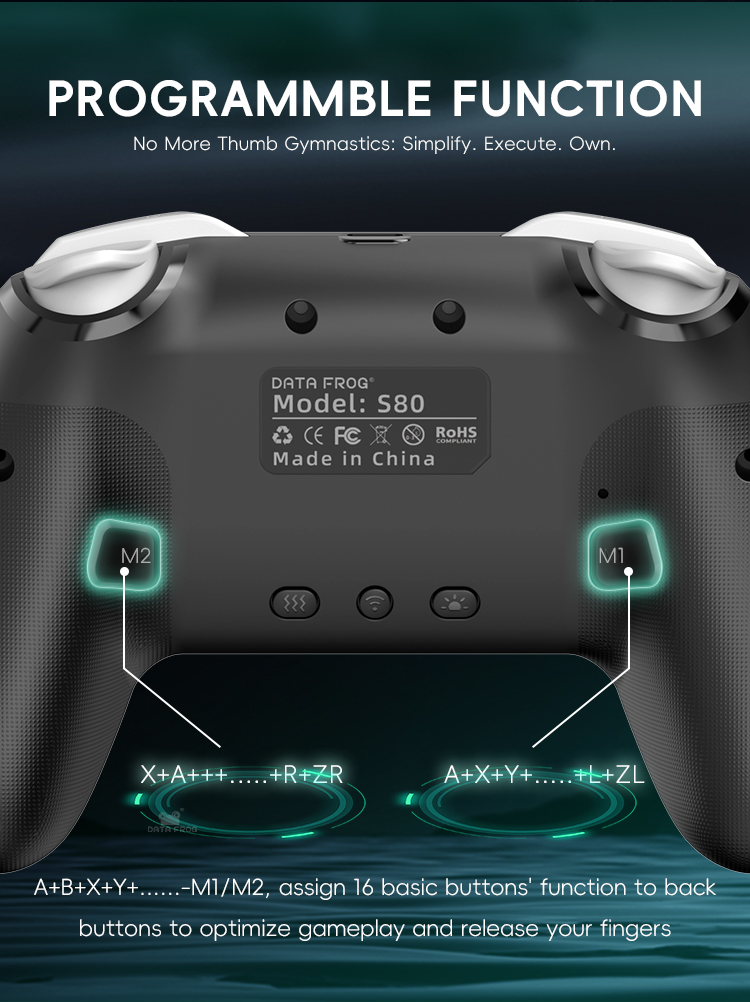 DATA FROG 2 Pack Wireless Pro  - Gaming Console For Smart Tv recensione e prezzo
